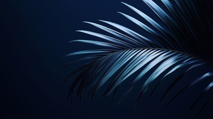 Obraz premium Elegant Silhouette of a Tropical Palm Leaf in Dark Background