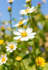 Obraz premium Vertical nature wallpaper
