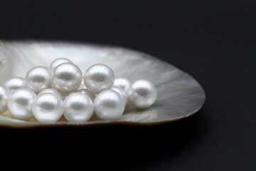 Expensive luxurious Chinese freshwater round pearls in a white shell, to be made into earrings, pendants or necklaces and sold in jewelry store. Popular feminine wedding accessory.