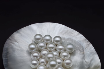 Expensive luxurious Chinese freshwater round pearls in a white shell, to be made into earrings, pendants or necklaces and sold in jewelry store. Popular feminine wedding accessory.