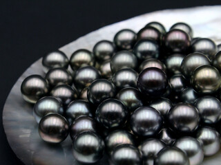 Expensive and luxurious Tahiti black pearls in a white shell on black background, ready to be made into earrings, pendants or necklaces and sold in jewelry store.