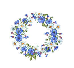 Blue cornflowers daisies in a round frame wreath watercolor illustration. Wildflower botanical composition element isolated from background. Suitable for cosmetics, aromatherapy, medicine, treatment,
