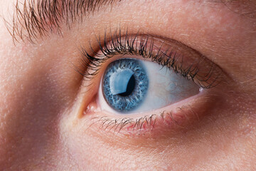 Macro photo of beautiful blue female eye looking straight into the camera. Close up young woman's...