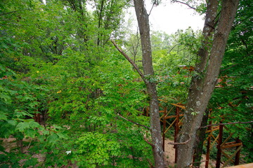 Canopy Walk, Blacklikc Metro park, Reynoldsburg, Ohio