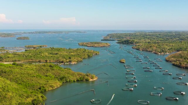 Aerial view of Fish farm with cages for fish and shrimp. Fish ponds for bangus, milkfish. Farming aquaculture or pisciculture practices. Philippines, Luzon.