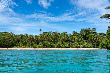 Tropical Beach Paradise with Palm Trees and Rocky Coastline in the caribbean Islands, Featuring Stunning Ocean Views, Sandy Shores, and Lush Island Landscapes, Perfect for Travel and Vacation Getaways