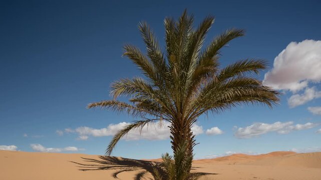 merzouga in the sahara desert in morocco