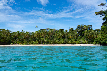 Tropical Beach Paradise with Palm Trees and Rocky Coastline in the caribbean Islands, Featuring Stunning Ocean Views, Sandy Shores, and Lush Island Landscapes, Perfect for Travel and Vacation Getaways