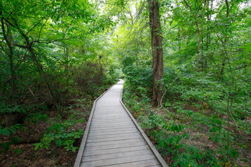 Woodland Trail, Blacklick Metro Park, Reynoldsburg, Ohio