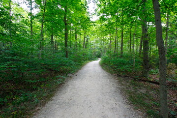 Woodland Trail, Blacklick Metro Park, Reynoldsburg, Ohio