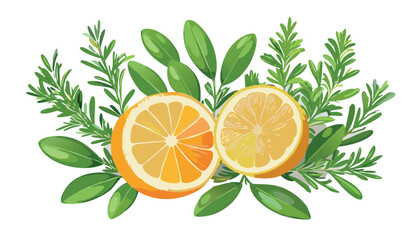 Citrus limon and orange