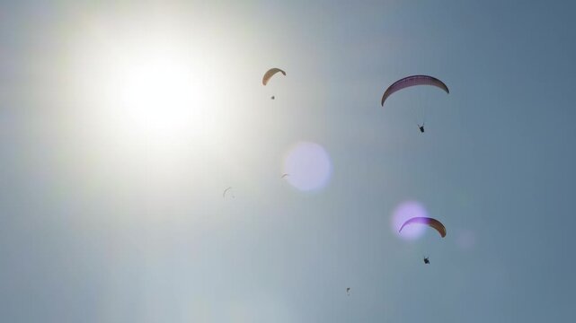 Several paragliders soar high in the sky under the bright sun, capturing a thrilling and adventurous moment against a clear blue backdrop.