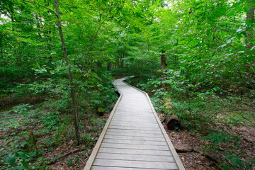 Woodland Trail, Blacklick Metro Park, Reynoldsburg, Ohio