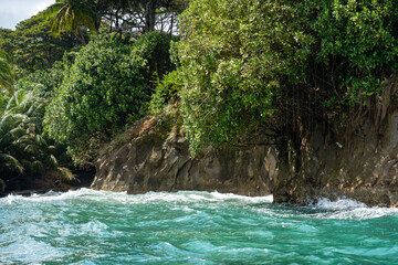 Tropical Beach Paradise with Palm Trees and Rocky Coastline in the caribbean Islands, Featuring Stunning Ocean Views, Sandy Shores, and Lush Island Landscapes, Perfect for Travel and Vacation Getaways