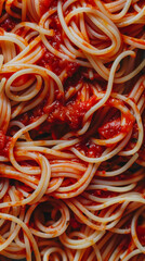 Close up photo of a plate of spaghetti with marinara sauce