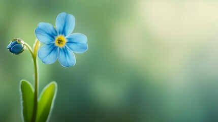 Vibrant spring meadow bursts with blooming wildflowers, delicate petals bathed in warm sunlight