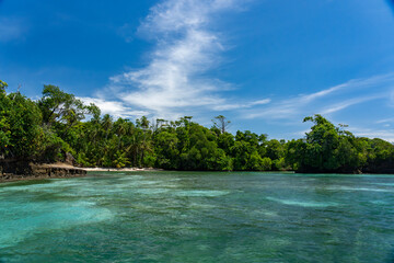 Tropical Beach Paradise with Palm Trees and Rocky Coastline in the caribbean Islands, Featuring Stunning Ocean Views, Sandy Shores, and Lush Island Landscapes, Perfect for Travel and Vacation Getaways