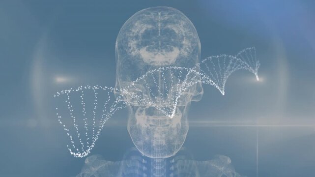 Animating DNA strand over transparent human skull and spine