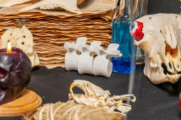 Halloween occult, esoteric and divination concept of magic. Selective focus on bones of the ritual...