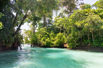 Stunning Tropical Island in Bocas del Toro, Panama with Crystal Clear Caribbean Waters, Lush Green Forest, and Vibrant Coastal Scenery, A Paradise for Nature Lovers and Eco-Tourism Enthusiasts