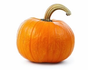 Obraz premium Orange Pumpkin