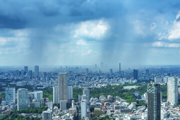 ゲリラ豪雨・雷雨・集中豪雨・東京