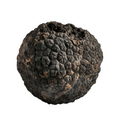 Close-up of a Black Truffle with Rough, Wrinkled Texture