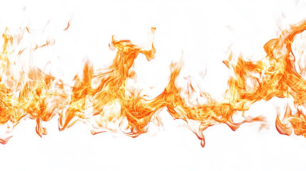 Fire flames on white background.