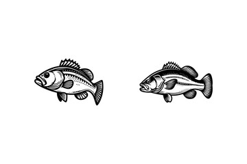 Set of Bass fish silhouette.