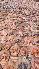 fresh fish processed using salt to dry