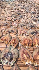 fresh fish processed using salt to dry