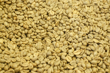 Raw coffee bean for background.