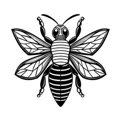 Vector illustration of a bee on white background