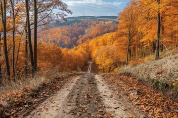 Fototapeta premium Winding Dirt Road Through Autumn Forest