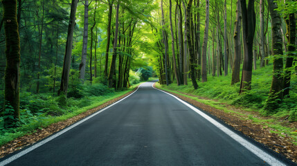 a beautiful asphalt road passing through green forest, wallpaper, background 