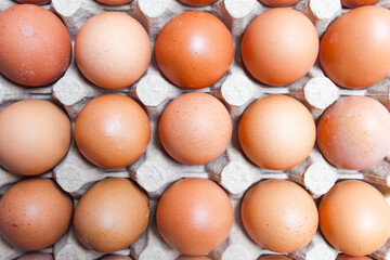 several raw chicken eggs in a cardboard