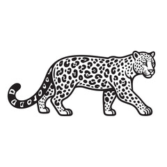leopard vector illustration