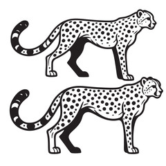 illustration of a leopard