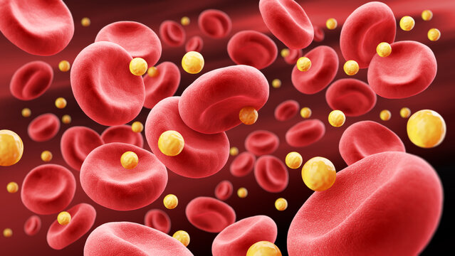blood cell with cholesterol, 3d illustration.