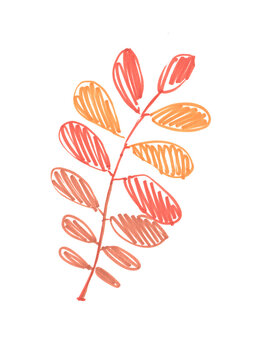 recommend clip art: Autumn red-orange rowan leaf, hand-drawn with a felt-tip pen on a white background. Autumn leaf with felt-tip pen in doodle style, isolated element