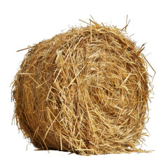 Obraz premium A Single Round Hay Bale Against