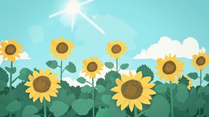 Sunflower summer sky landscape background