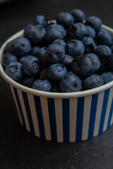 Les délicieux bleuets du québec