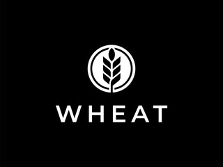 wheat logo vector illustration logo template
