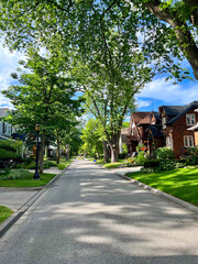 Residential street landscaping houses light post blue sky trees yards green lawns