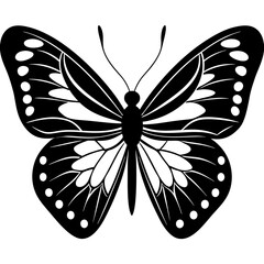 Butterfly isolated on white, butterfly vector illustration, animal vector art, butterfly silhouette, butterfly vector icon, butterfly line art, eps