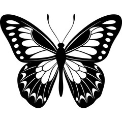 Butterfly isolated on white, butterfly vector illustration, animal vector art, butterfly silhouette, butterfly vector icon, butterfly line art, eps