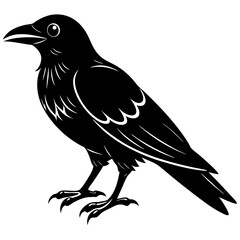 crow isolated on white, crow vector illustration, petvector art, crow silhouette, animal vector icon, crow line art, eps