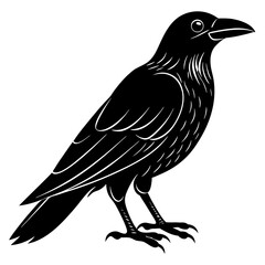 crow isolated on white, crow vector illustration, petvector art, crow silhouette, animal vector icon, crow line art, eps