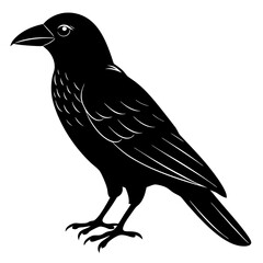 crow isolated on white, crow vector illustration, petvector art, crow silhouette, animal vector icon, crow line art, eps